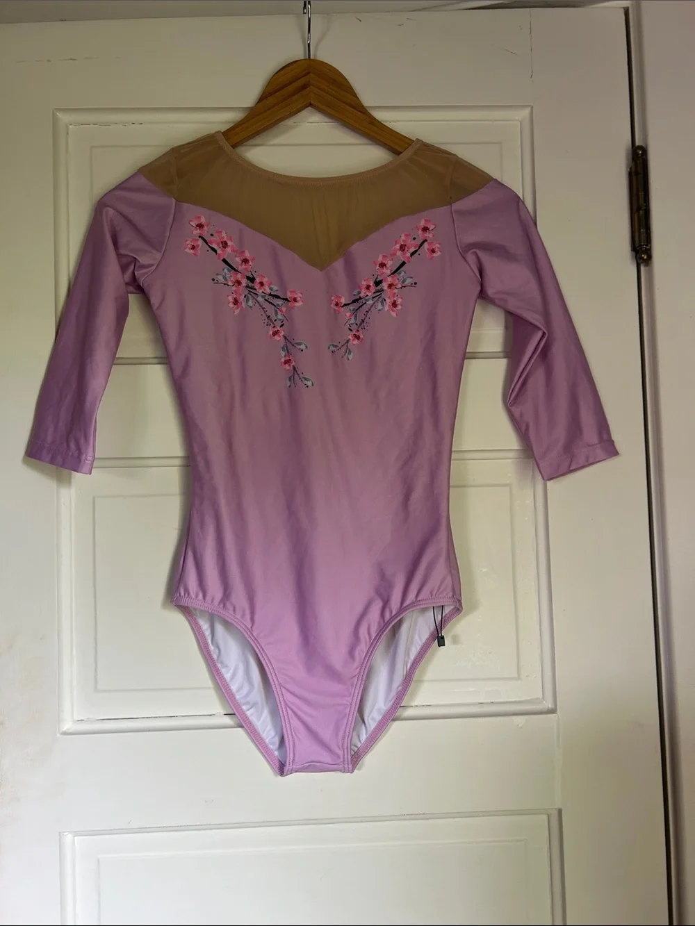 Cloud & Victory Sakura lilac and beige mesh leotard rare sold out adult large - Picture 1 of 11